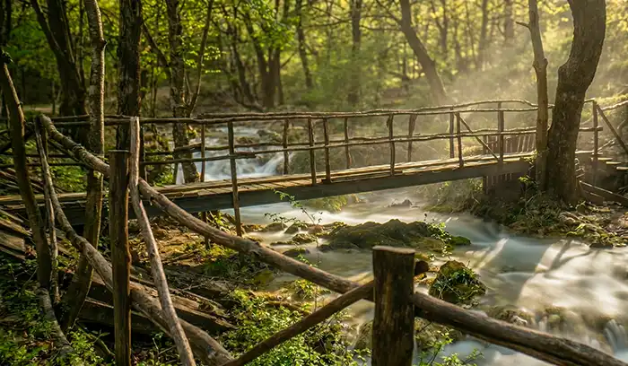 Света Вода